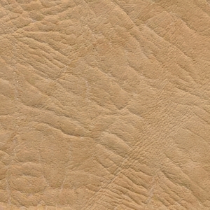 Бежевый (Боди)