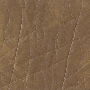 Светлый орех (Кенвуд)