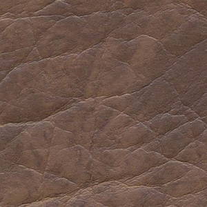 Орех (Кенвуд)