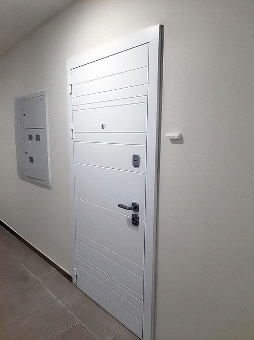 Квартирная входная дверь