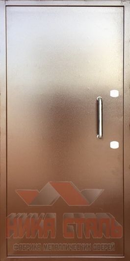 Дверь защитная