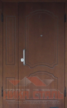 Дверь наружная офисная