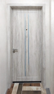 Дверь с МДФ и хромированными молдингами